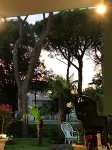 Hotel Palm Beach - 3-Star