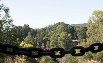 The Manor Basket Range