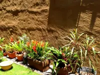 Pranberry Earth Hotels near AIS