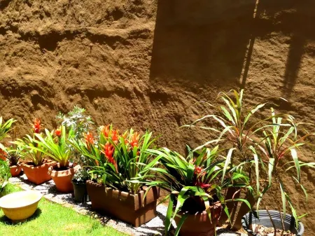 Pranberry Earth Отели рядом с достопримечательностью «Wat Wang Yao»