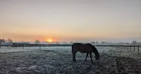 Le Gîte du Haras d'Havetot