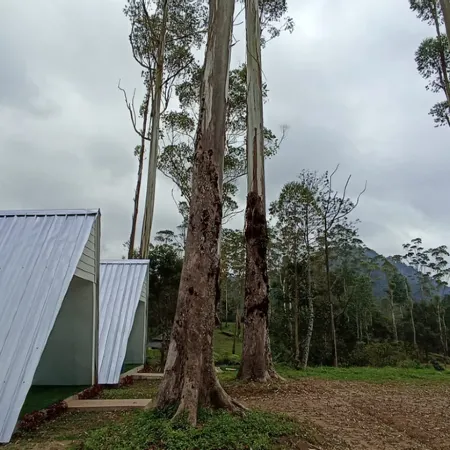 Awana Resort