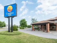 舒適酒店 三河城酒店