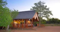 Pezulu Tree House Lodge