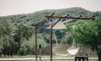 Socrates Organic Village - Wild Olive