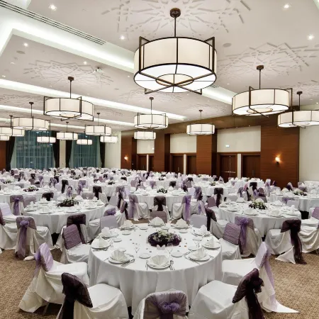 Hilton Garden Inn Mardin
