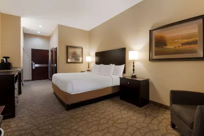 Best Western University Inn  Suites Hotels near Hillsboro Stadium