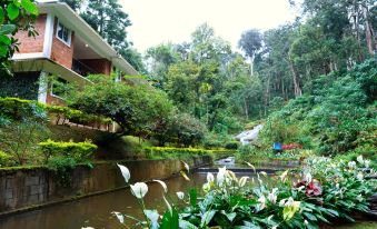 Falling Waters Munnar