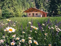 Baita Valon Alpine Hideaway