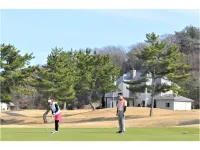Helena International Villa Hotels in Iwaki