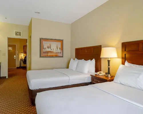 Quality Suites San Antonio Northeast Hotels in Bexar County