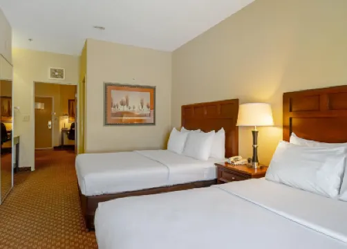 Quality Suites San Antonio Northeast Hotels near James Park