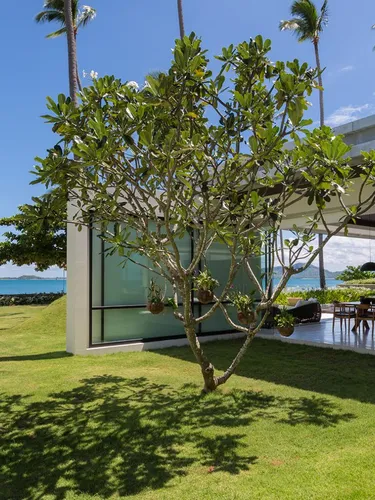 รูปภาพของFashionable Villa Malabar Beachfront 5 Bedrooms Plus 2 Kid's Bedrooms 10+6