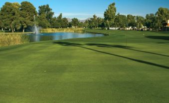 Orange Tree Resort