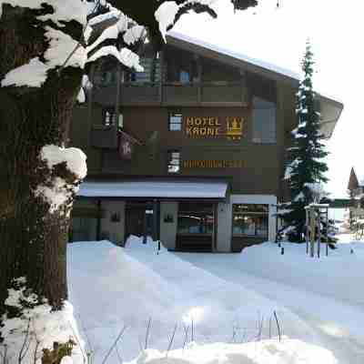 Hotel Krone Lenk Hotel Exterior