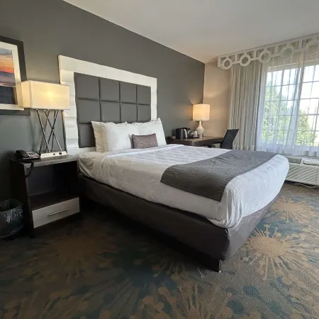 Best Western Erie Inn  Suites