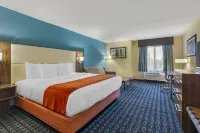 BestWestern Plus North Shore Hotel Hotels in Danvers
