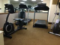 The Hotel Ojibway, Trademark Collection by Wyndham - Gym