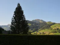 Eichhorn Hotels in Zweisimmen