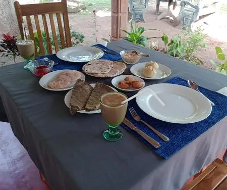 Jungle Eco Lodge & Safari