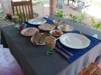 Jungle Eco Lodge & Safari