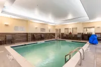 Fairfield Inn & Suites Dallas DFW Airport North/Coppell Grapevine - Pools