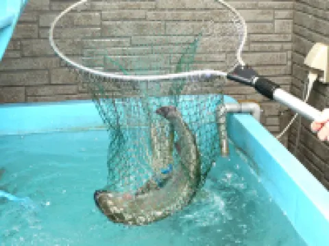 御宿春芽 高千穗町酒店