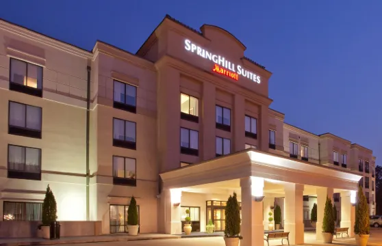 韋斯特切斯特縣塔雷城SpringHill Suites酒店