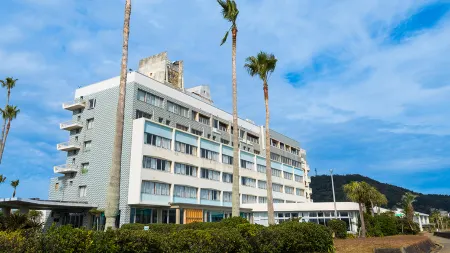 Ibusuki Seaside Hotel