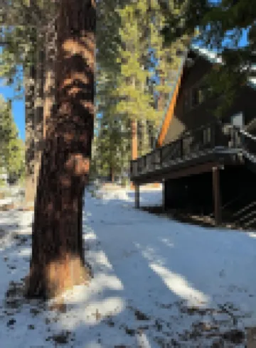 Modern A-Frame cabin that is a nice stroll down to the lake.