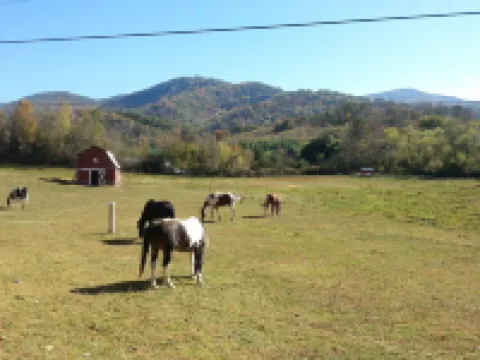 'Dood's Ranch', cozy mountain cottage on horse farm in Waynesville!