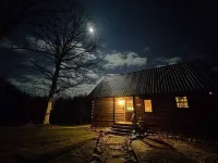 Birdwatchers Paradise: Secluded Cabin in the Woods on 4 acres