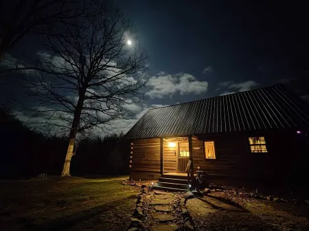 Birdwatchers Paradise: Secluded Cabin in the Woods on 4 acres