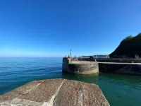 Carole's Cottage - Private Parking, Sea Views, Garden & Close To Harbour & Beach