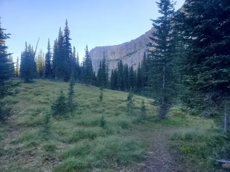 Secluded Montana home on five acres