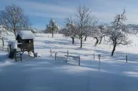 Large Vacation Apartment with a View of the Courtyard Hotels in Stockach