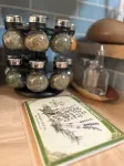 The Shamrock Creekside Cottage- ONE BLOCK FROM DOWNTOWN & on the CREEK!
