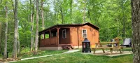 Cabin in the Woods - 5 Miles to Dayton Boat Ramp! 2 miles to NACA Fort Bluff! - 3-Star
