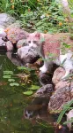 Peaceful Pond Retreat • Clean • Cozy • Private • Near Traverse City!