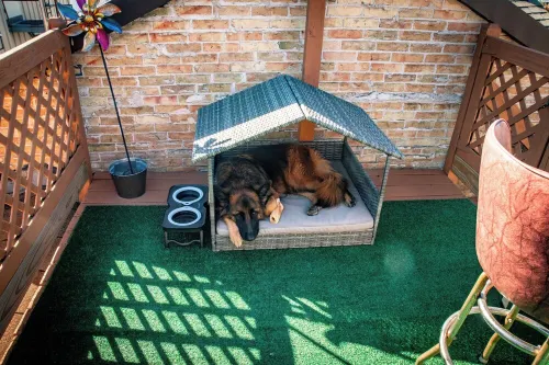 Luxury Meets Historic @ The Luxe Loft - AMAZING LOCATION! Hotels in Algoma