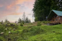 Mountain View Cabin, Hot Tub at White Pass Resort, Mt. Rainier
