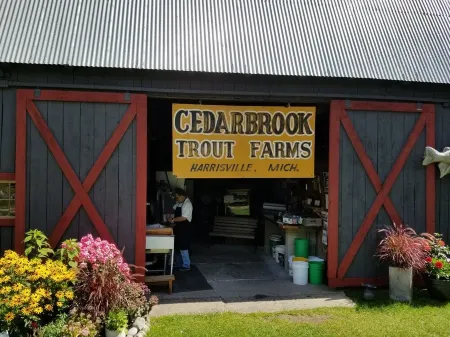 Charming Cabin Retreat on Cedar Cove