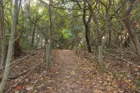 Beachside Retreat - 2 Bedrooms (Short or Long Term) Opposite Casuarina Beach Hotels in Casuarina