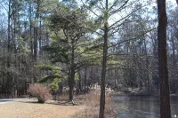 Beautiful Beach Cottage in Ocean Pines