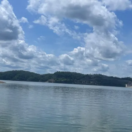 Stylish Cabin 4Mins Away from Cumberland Lake!