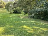 Quiet mountain retreat convenient to hiking and Asheville