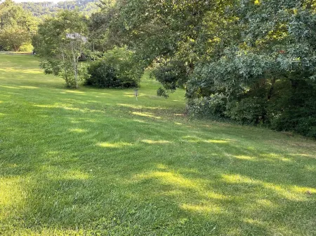 Quiet mountain retreat convenient to hiking and Asheville Отели в г. Римс Крик