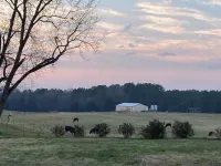The Parlor Two~ Renovated milking Parlor on a working farm with cows and horses~