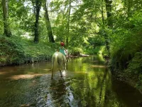 Idyllisch Gelegenes Ferienhaus mit Garten auf Reiterhof Hotels in Schopstal