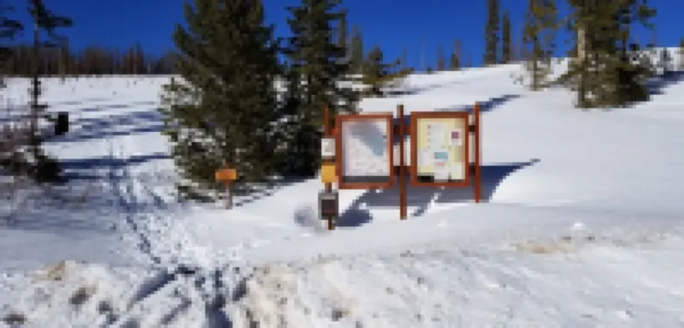 Enjoy the Summer Time in Views!